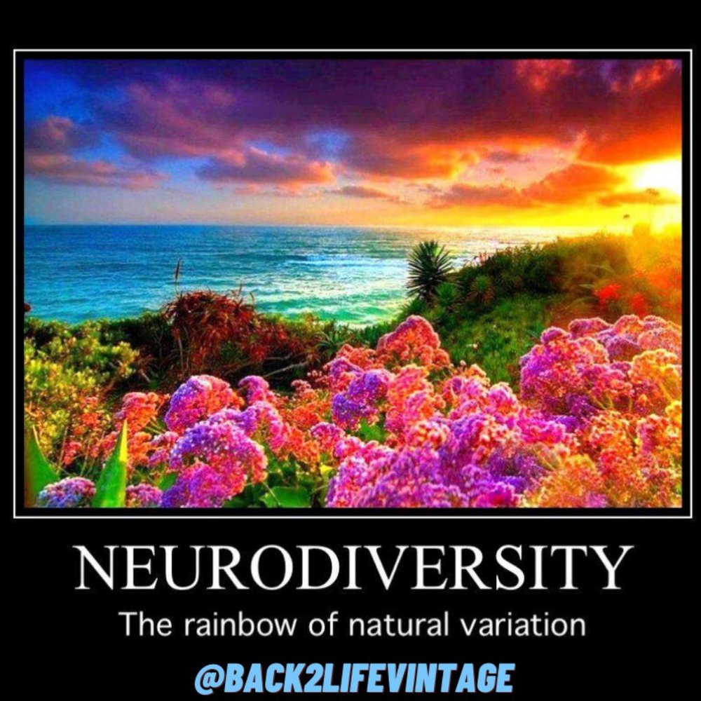 Meet the Seller~ Our Store ~ & Our Purpose ~ All in for Autism & Neurodiversity - Picture 3 of 12